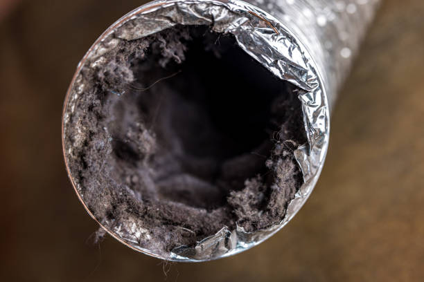 Best Duct Cleaning for Offices  in Harper Woods, MI